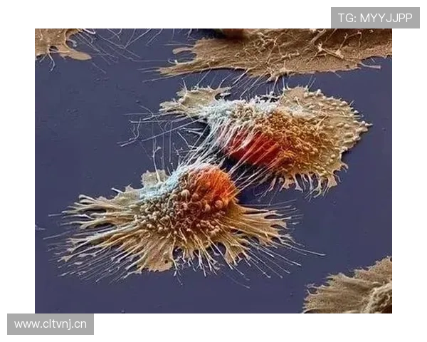 企业家癌症困境与抗争：探讨疾病对商业帝国及个人命运的深远影响